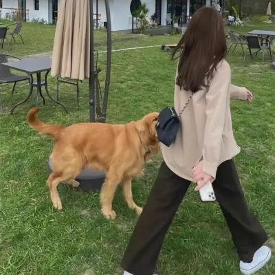 我在偷懒